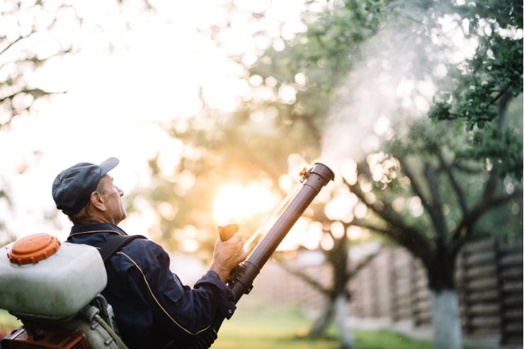 Person wearing a sprayer backpack spraying trees for mosquito control