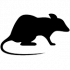 rat-silhouette-icon-emco-pest-control-150px